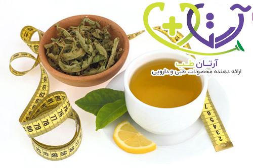 دمنوش لاغری