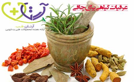 گیاهان مناسب برای چاقی